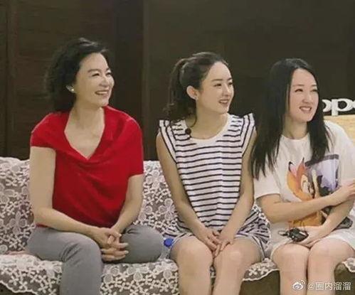 娱乐圈吃瓜博主女阿姨,揭秘娱乐圈背后的那些事儿